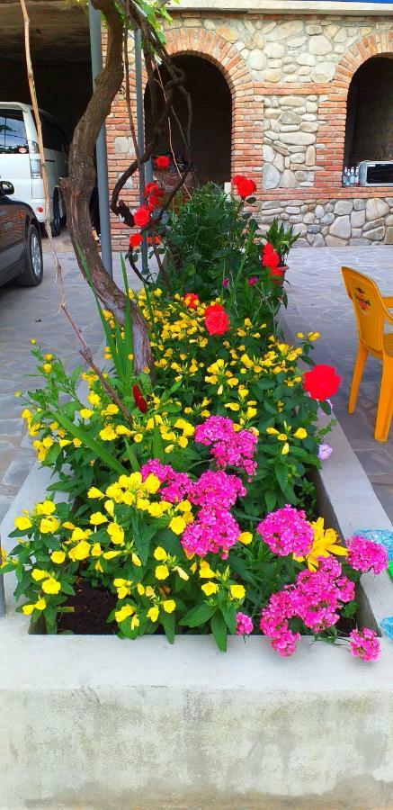 Tsminda Giorgi Apartment Sighnaghi Exterior photo